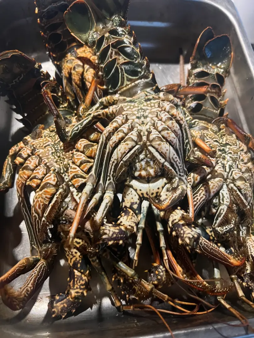 Assortiment de fruits tropicaux frais et ingrédients locaux