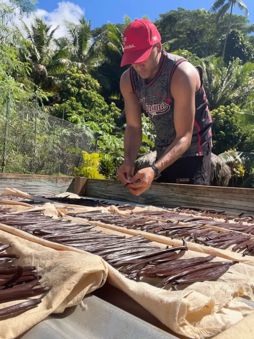 Visite d'une ferme de vanille à Tahaa