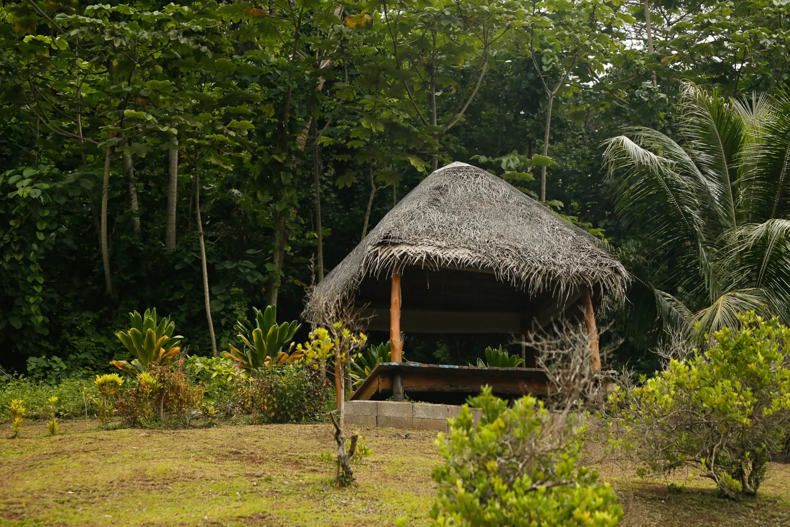 Emplacement de camping ombragé à Tahaa Fare Hau Camp