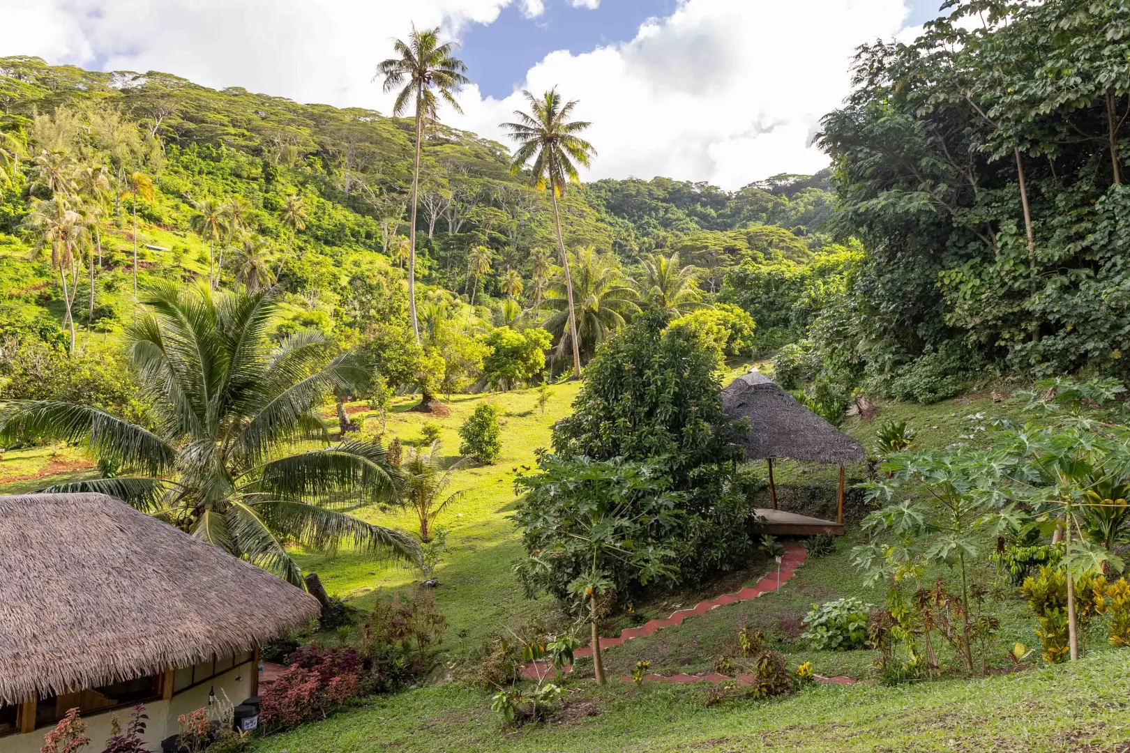 Image de fond pour Nos Services