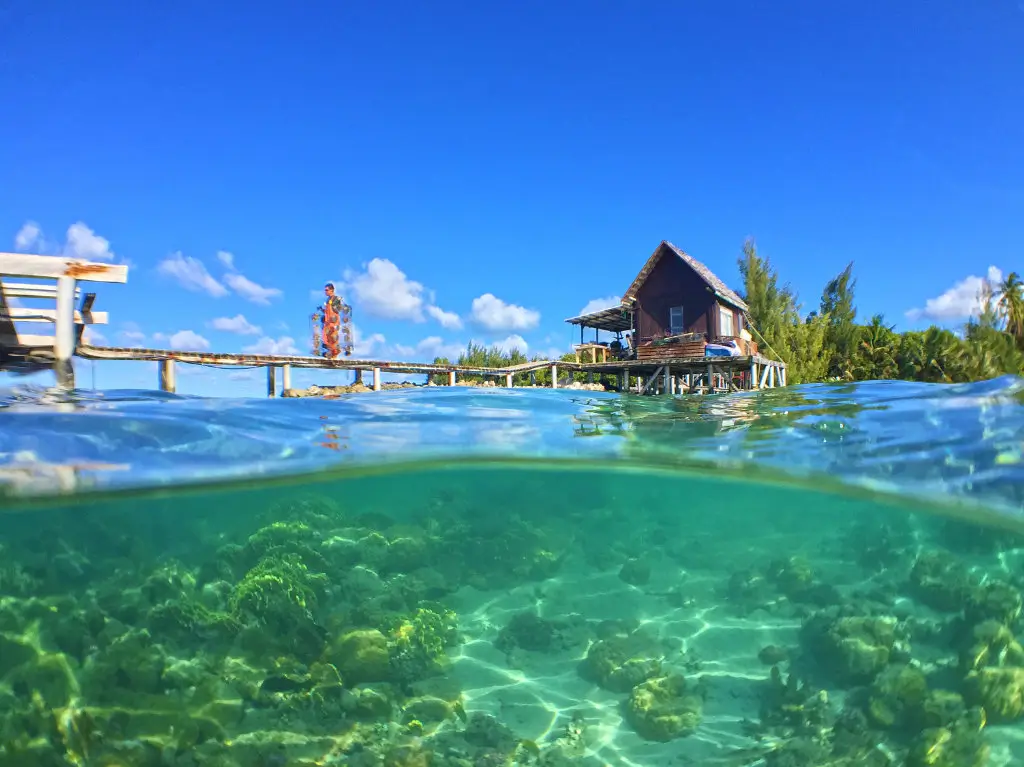Travailleur dans une ferme perlière à Tahaa